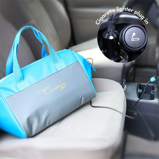 electric cooler bag for car