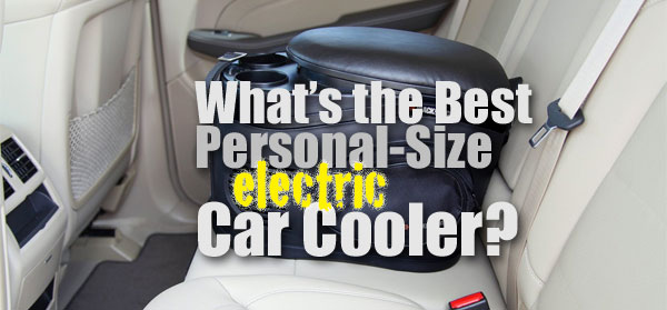 electric ice chest for car