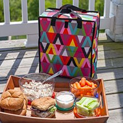 Use the Packit Freezable Grocery Bag for Picnics and More